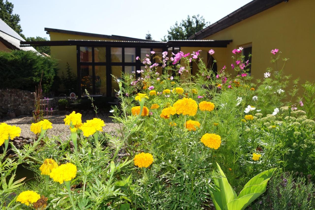 Ferienhaus "Am Gutspark" Alt Tucheband Zewnętrze zdjęcie
