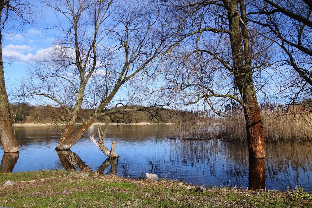 Ferienhaus "Am Gutspark" Alt Tucheband Zewnętrze zdjęcie