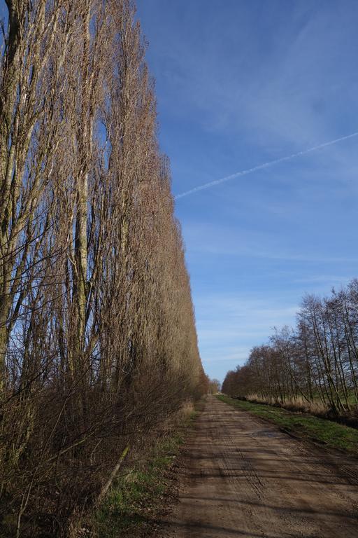 Ferienhaus "Am Gutspark" Alt Tucheband Zewnętrze zdjęcie