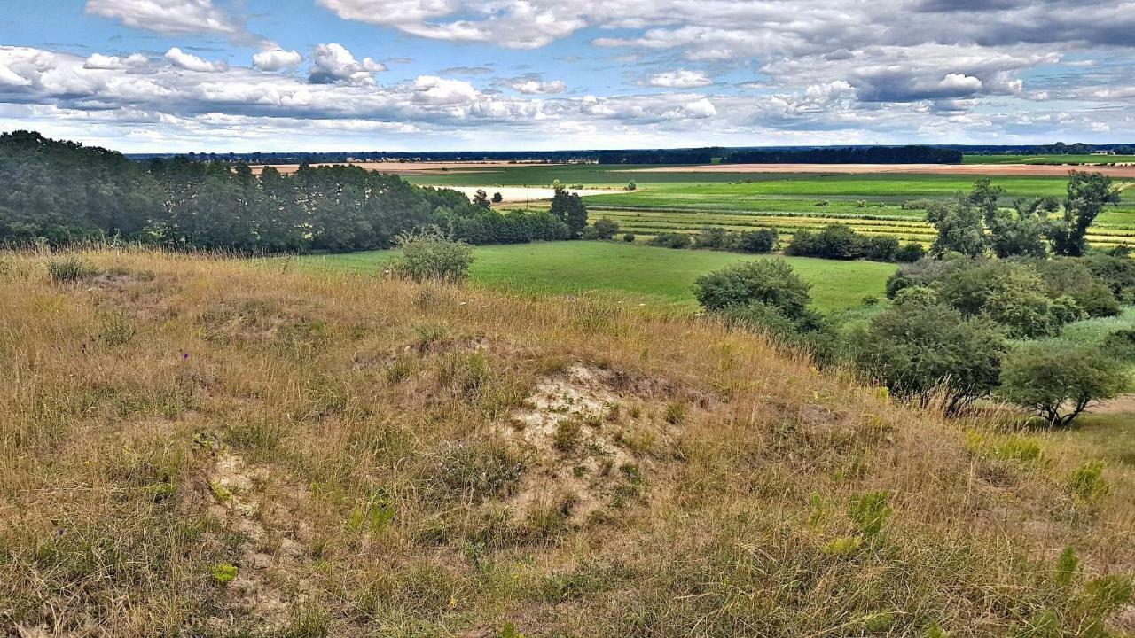 Ferienhaus "Am Gutspark" Alt Tucheband Zewnętrze zdjęcie